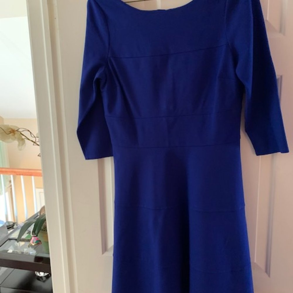 Banana Republic Blue Mini Dress